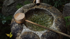 波紋