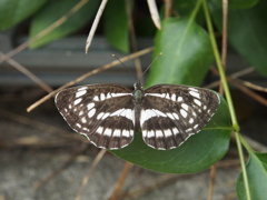 P8101300