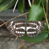 P8101300