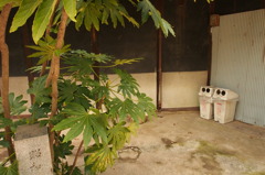 P3220086