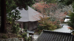 PB081532