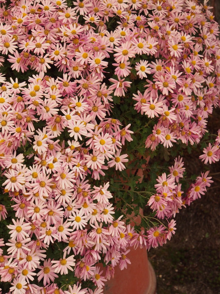 PC010453