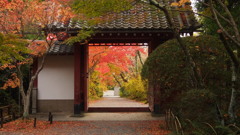 四角が紅葉を引き立てる