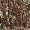 PB081507