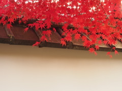 PC010443