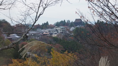 PB081511
