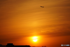伊丹空港