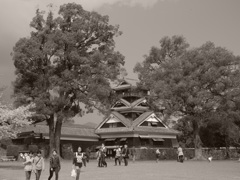 DSCN0684