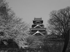 kumamoto castle 