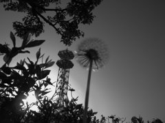 DSCN1180