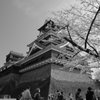 kumamoto　castle2