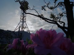 DSCN1052