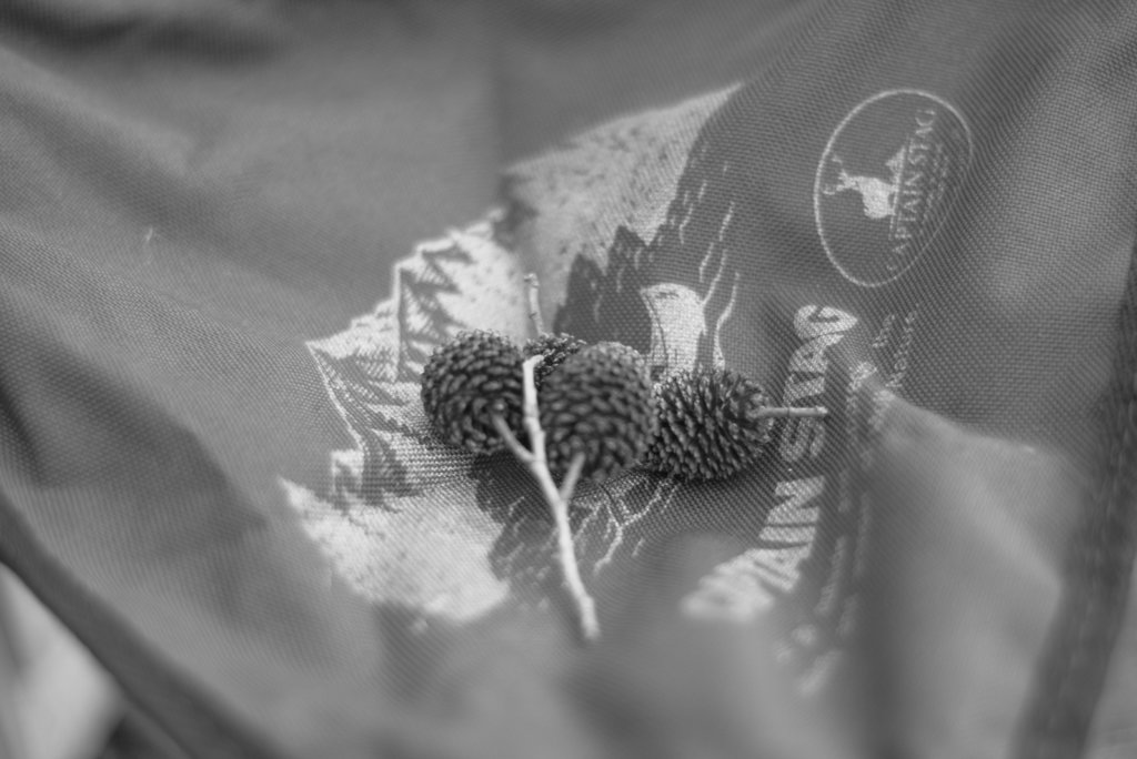 DSC04908