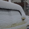 横浜大雪4