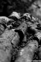 Cuts
