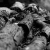 Cuts