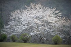 朝日を浴び