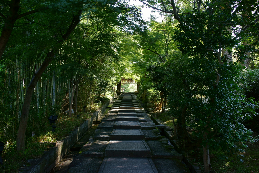 ねねの道〜高台寺