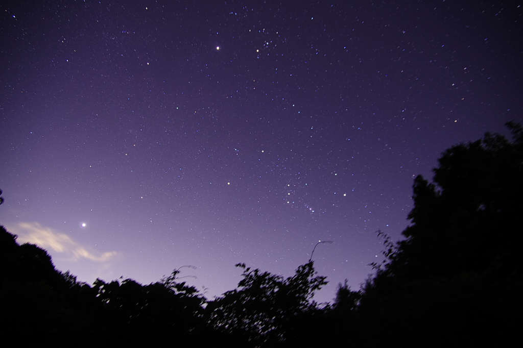星空　スバルどこ？