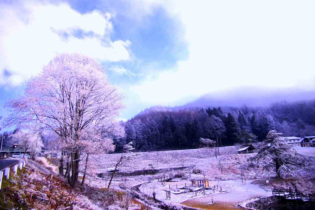 雪