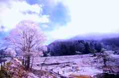 雪