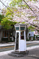 TELEPHONE BOX