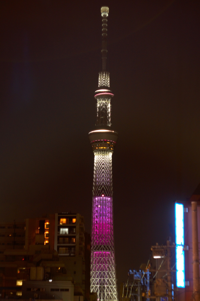 桜ライティング