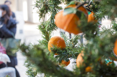 道後温泉　みかんツリー