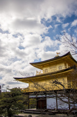 金閣寺