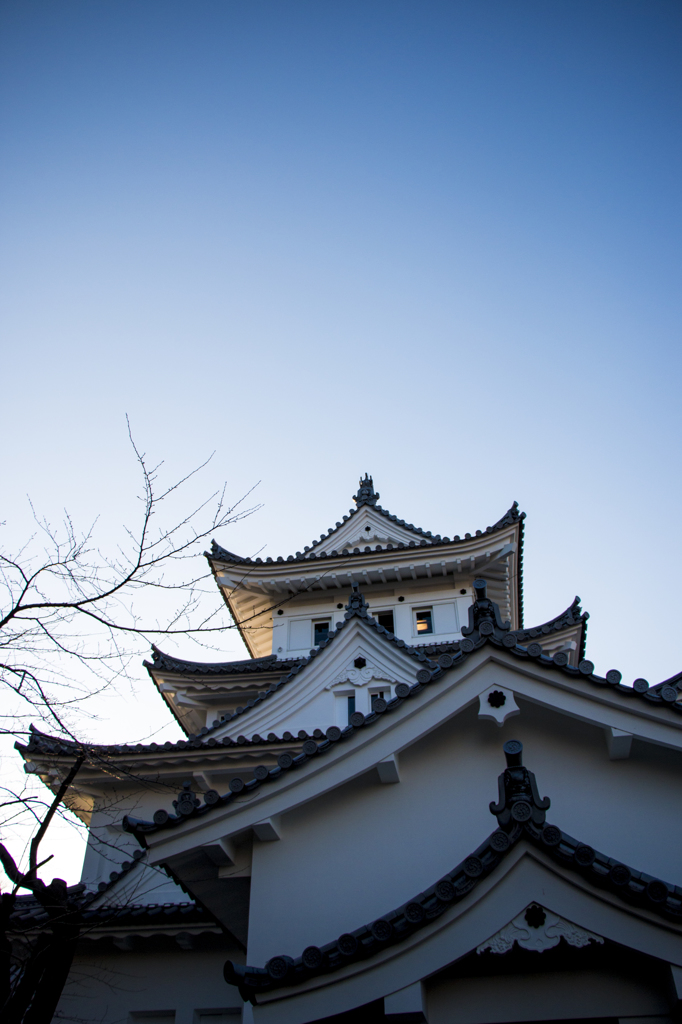 大垣城