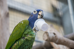 自分の飯は自分で食す