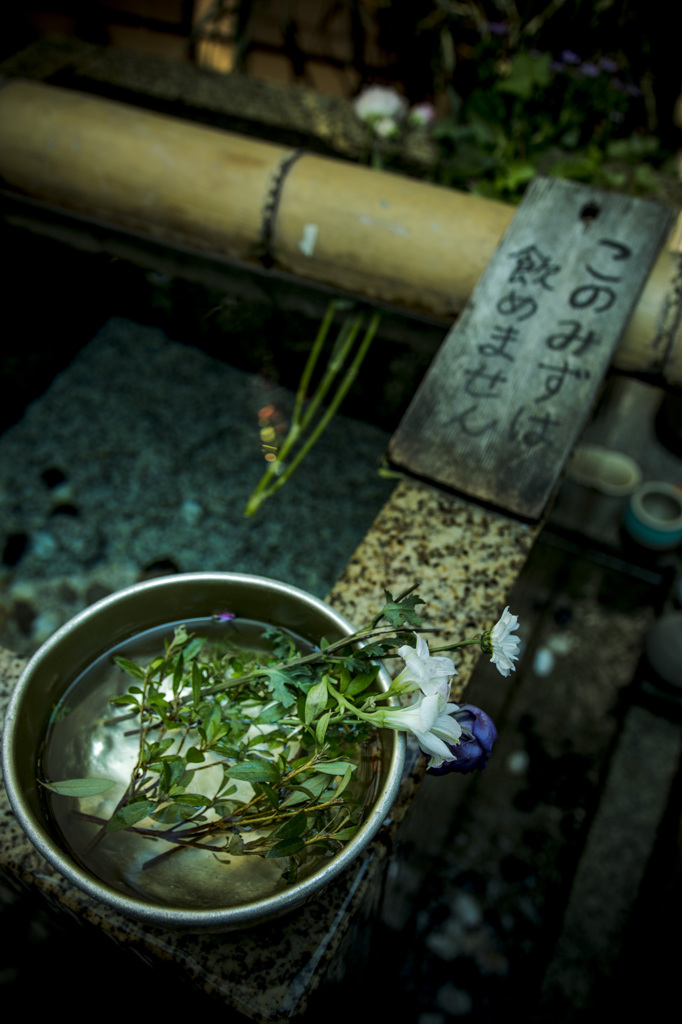 お花様専用の飲み水