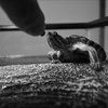 食事タイム♪