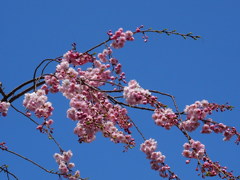 青い空