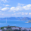 多々羅大橋