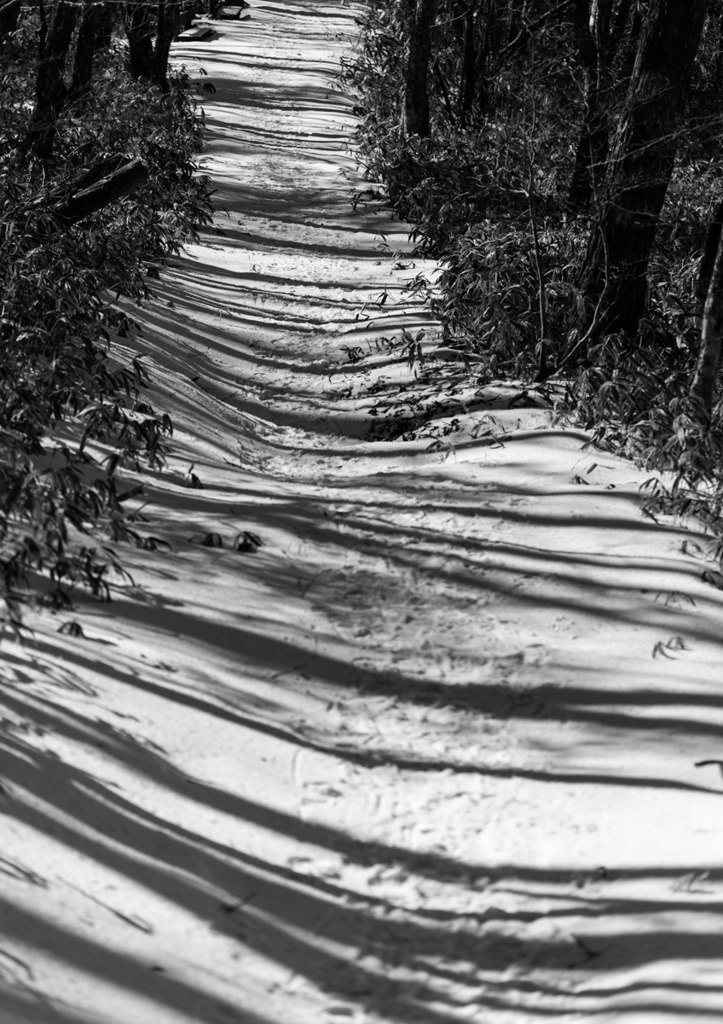 DSC_1888