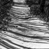 DSC_1888
