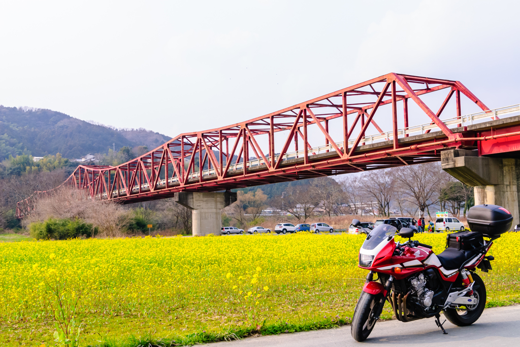 河川敷にて