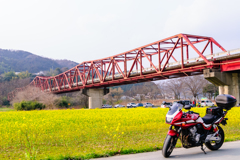 河川敷にて