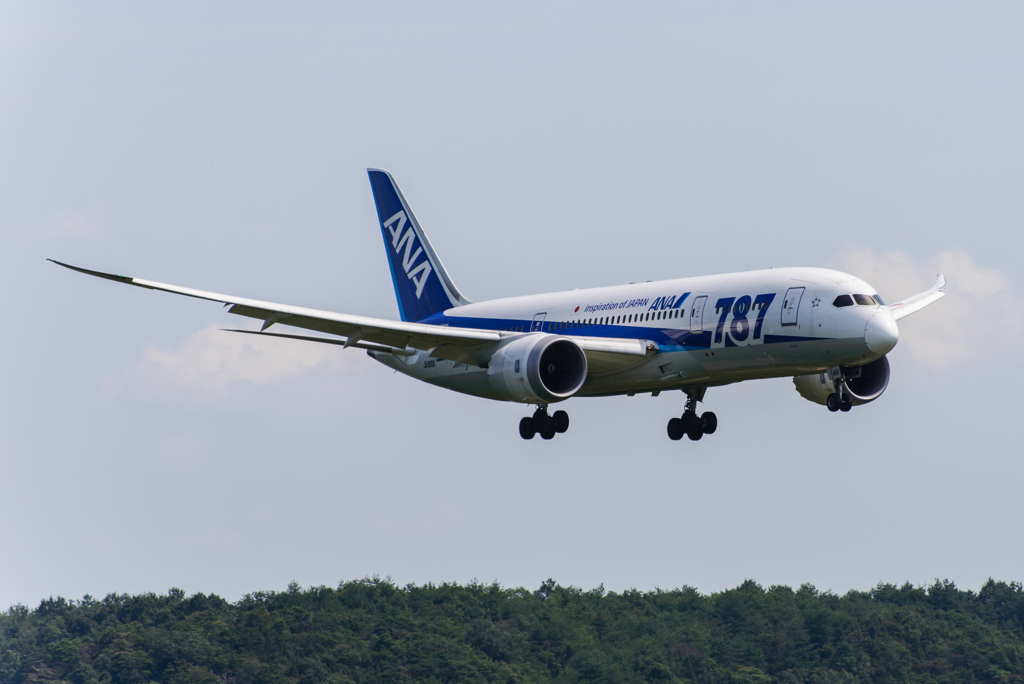  CLEAR TO LAND RUNWAY 25