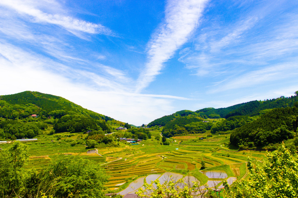 晴れた日は棚田だな