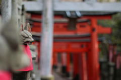 稲荷神社④