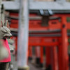 稲荷神社④