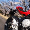 桜と赤いテール