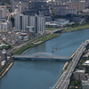 橋