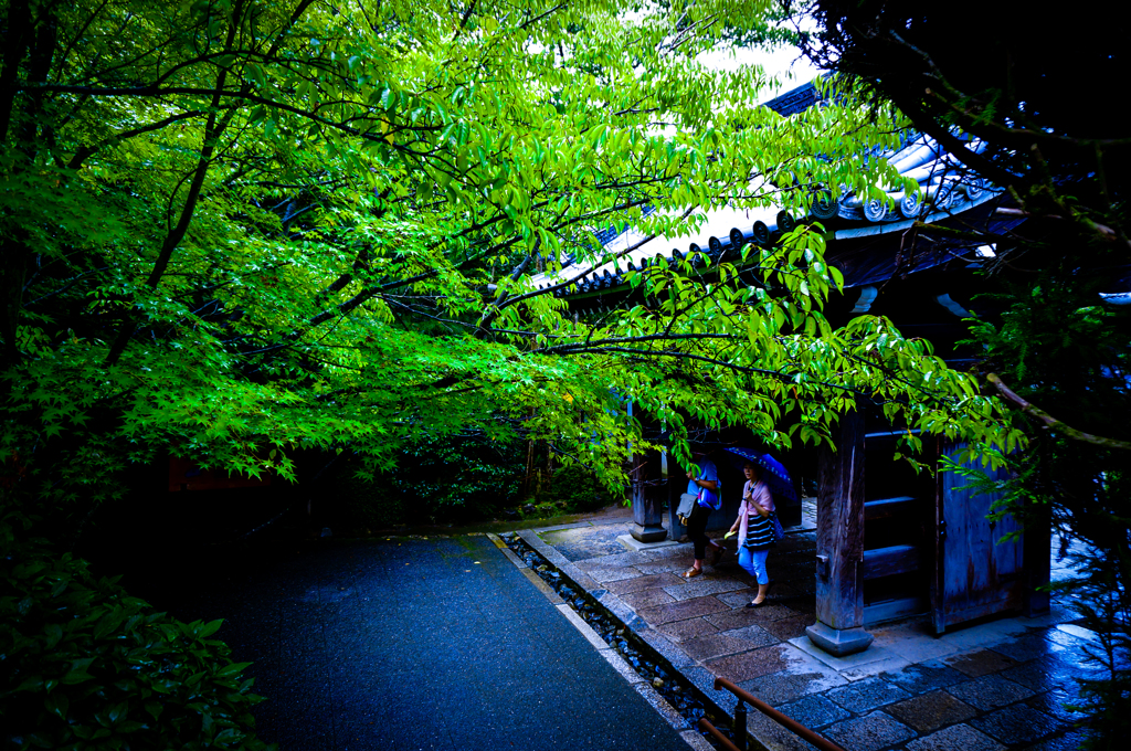 雨道