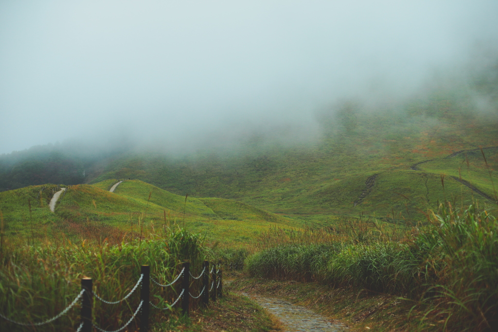 曽爾高原　秋雨