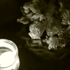 candle night 茶屋町