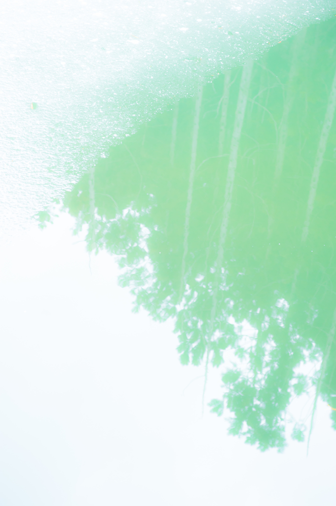 沼２