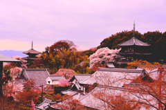 高野山真言宗、浄土宗　當麻寺